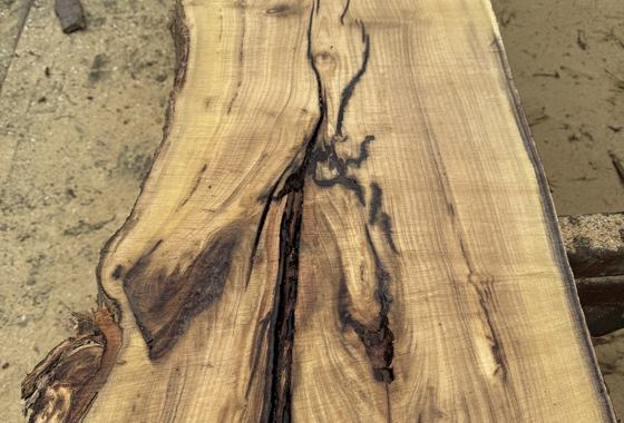 Helle Bohle mit dunkler Rissader