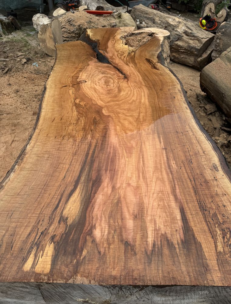 Warm rotbraune Bohle mit geflammter Maserung